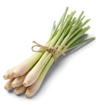 Lemongrass