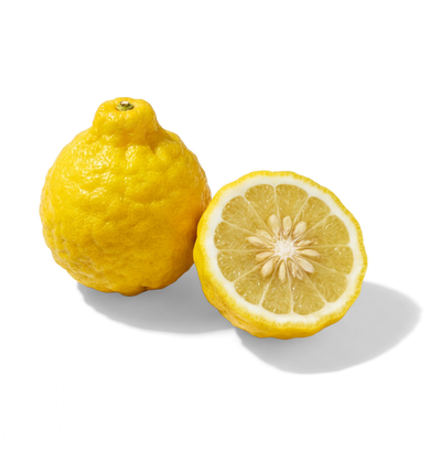 Bergamot
