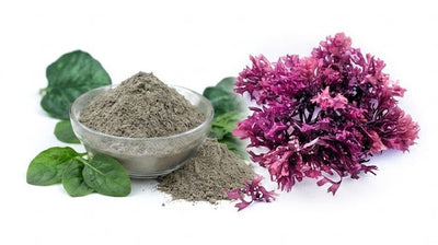 Sea Moss and Sea Clay
